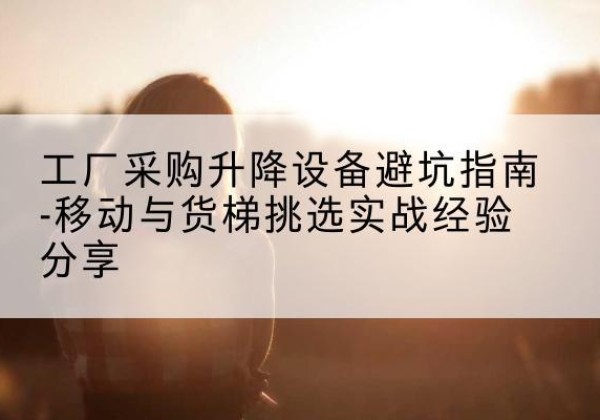 文成移动式升降机怎么选-工厂采购升降设备避坑指南-移动与货梯挑选实战经验分享