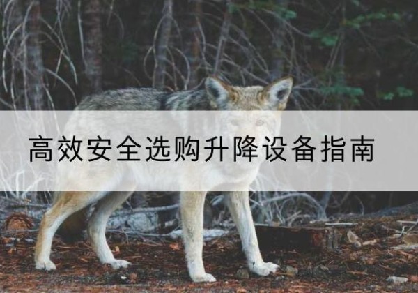 文成升降货梯厂家推荐-*安全选购升降设备指南