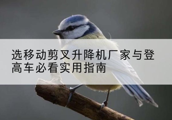 文成电动升降机厂家-选移动剪叉升降机厂家与登高车必看实用指南
